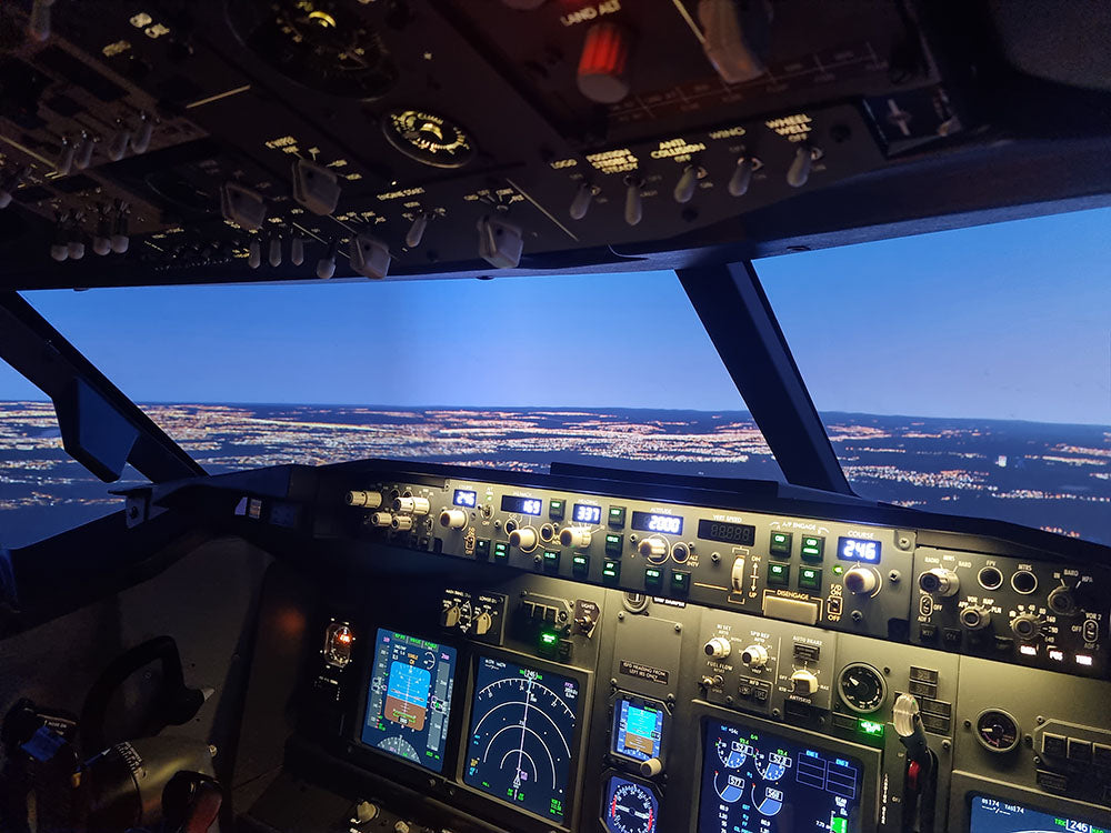 Boeing 737 Flight Simulator Experience