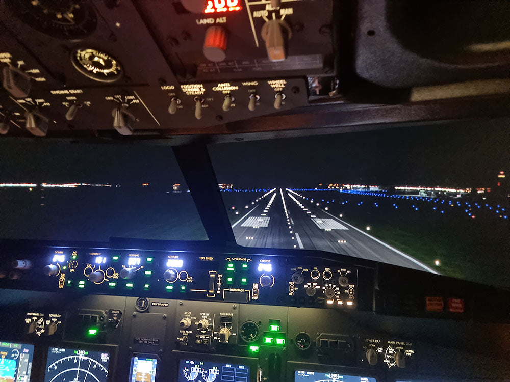 Boeing 737 Flight Simulator Experience