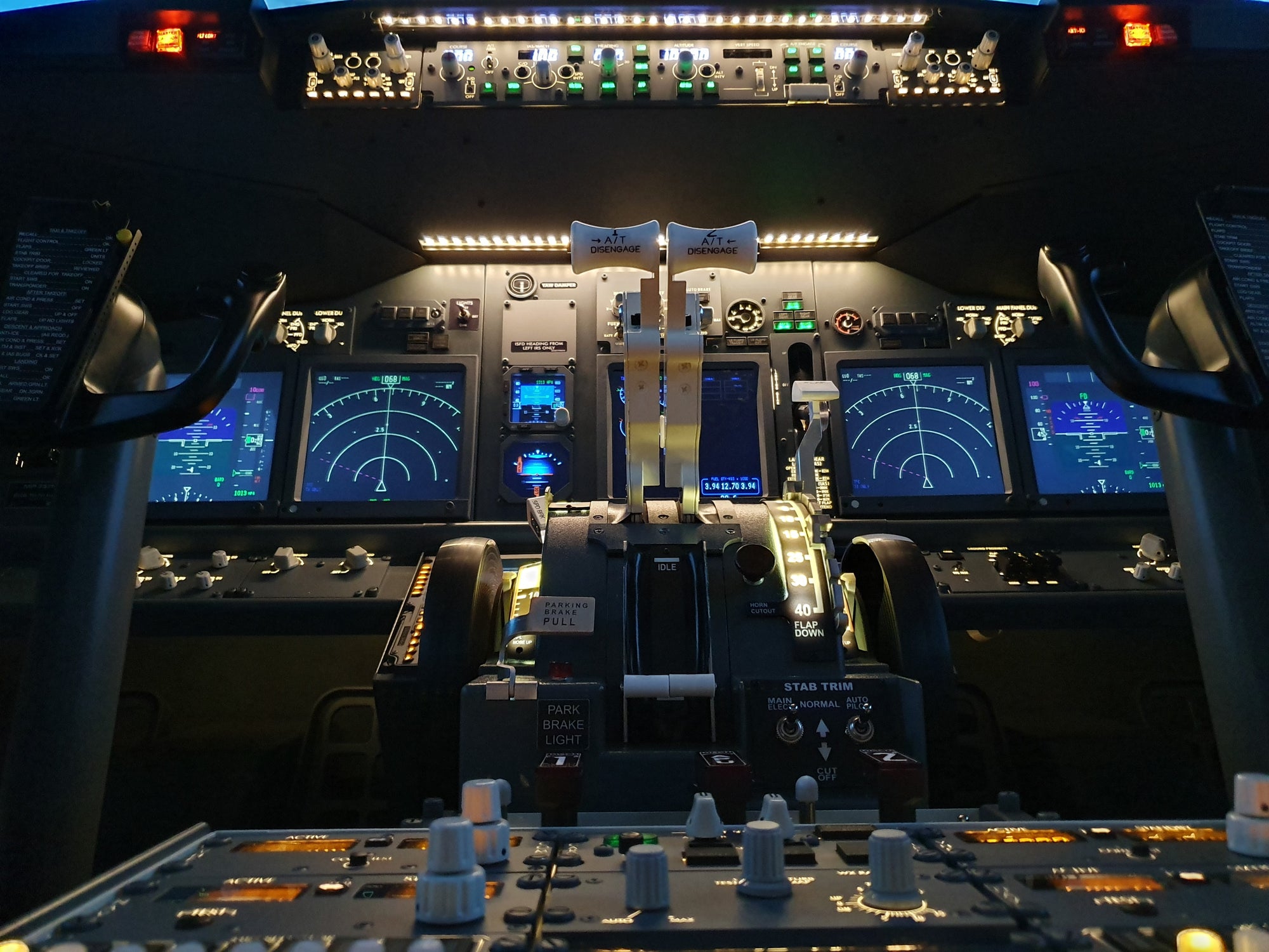 Boeing 737-800NG Flight Simulator Experience